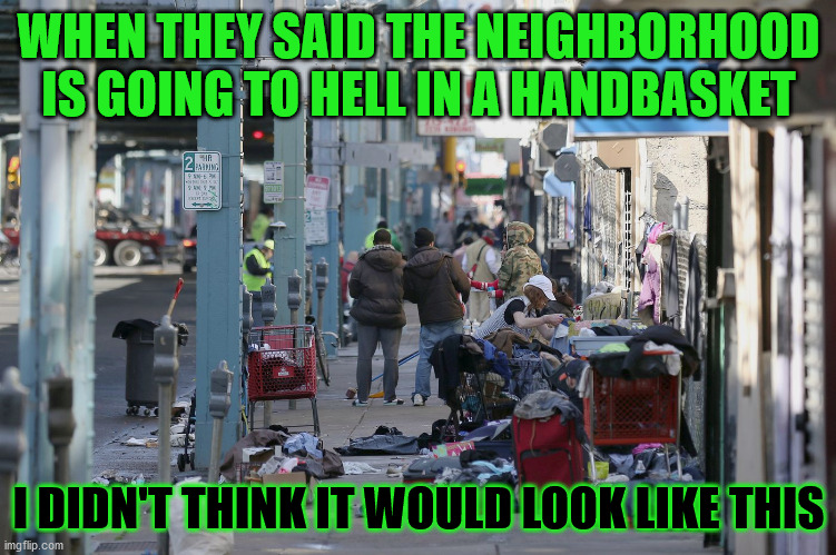 gone to hell in a handbasket | WHEN THEY SAID THE NEIGHBORHOOD IS GOING TO HELL IN A HANDBASKET; I DIDN'T THINK IT WOULD LOOK LIKE THIS | image tagged in handbasket,gone to hell,america,messy | made w/ Imgflip meme maker