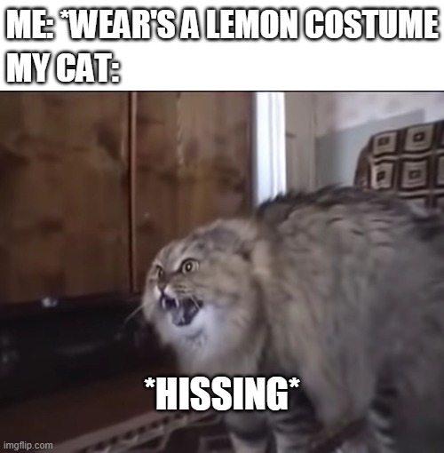 cats hates the smell of lemons | ME: *WEAR'S A LEMON COSTUME; MY CAT:; *HISSING* | image tagged in hissing cat,lemon | made w/ Imgflip meme maker