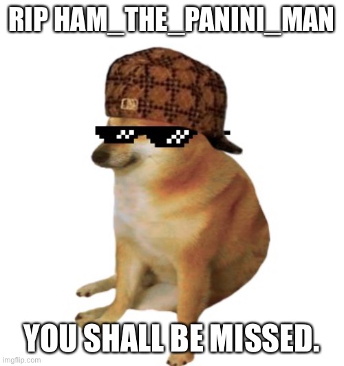 Epic cheems. | RIP HAM_THE_PANINI_MAN; YOU SHALL BE MISSED. | image tagged in epic cheems | made w/ Imgflip meme maker