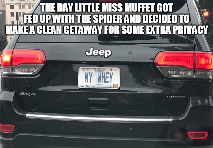 No More Sitting on a Tuffet | THE DAY LITTLE MISS MUFFET GOT FED UP WITH THE SPIDER AND DECIDED TO MAKE A CLEAN GETAWAY FOR SOME EXTRA PRIVACY | image tagged in meme,memes,nursery rhymes,license plate | made w/ Imgflip meme maker