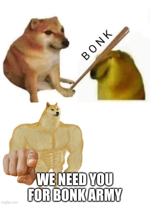 WE NEED YOU FOR BONK ARMY | image tagged in doge bonk | made w/ Imgflip meme maker