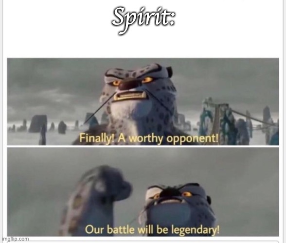 Finally! A worthy opponent! | Spirit: | image tagged in finally a worthy opponent | made w/ Imgflip meme maker