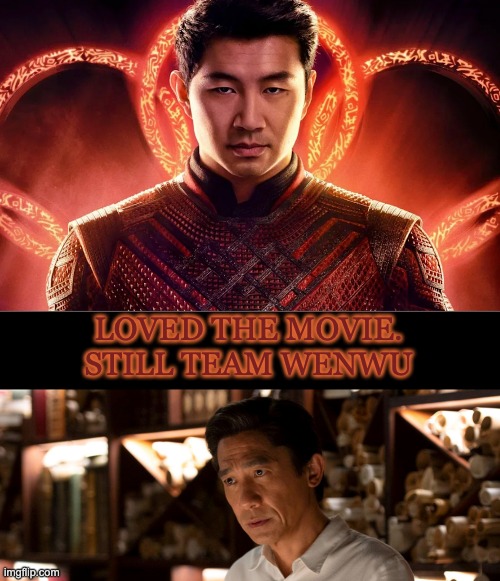 And now I have to find copies of Hard Boiled and Ashes of Time | LOVED THE MOVIE.
STILL TEAM WENWU | image tagged in mcu,movie,shang chi | made w/ Imgflip meme maker