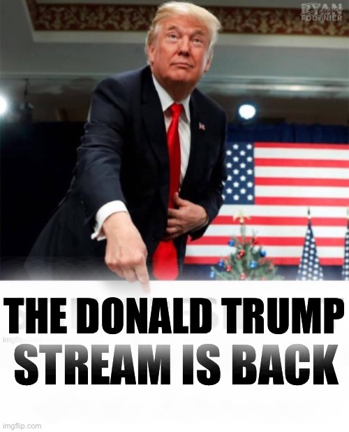 DONALDTRUMP STREAM ON IMGFLIP | THE DONALD TRUMP; STREAM IS BACK | image tagged in trump still president,donald trump president | made w/ Imgflip meme maker