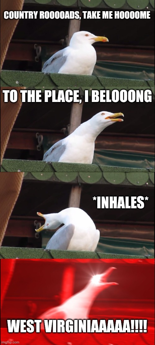Inhaling Seagull Meme |  COUNTRY ROOOOADS, TAKE ME HOOOOME; TO THE PLACE, I BELOOONG; *INHALES*; WEST VIRGINIAAAAA!!!! | image tagged in memes,inhaling seagull | made w/ Imgflip meme maker
