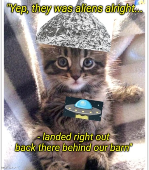 Conspiracy Kitty | image tagged in cute kittens,aliens,conspiracy theories | made w/ Imgflip meme maker