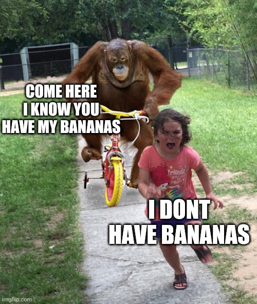Monke know where banana is | COME HERE I KNOW YOU HAVE MY BANANAS; I DONT HAVE BANANAS | image tagged in monke,wants,banana | made w/ Imgflip meme maker