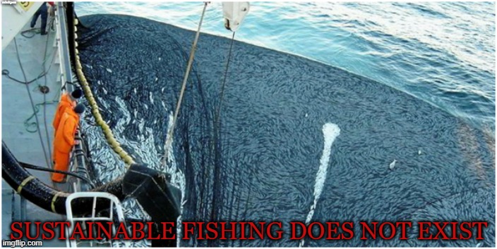 Sustainable Fishing is a Lie | minkpen; SUSTAINABLE FISHING DOES NOT EXIST | image tagged in vegan,fishing,cod,ocean,fish,sea | made w/ Imgflip meme maker