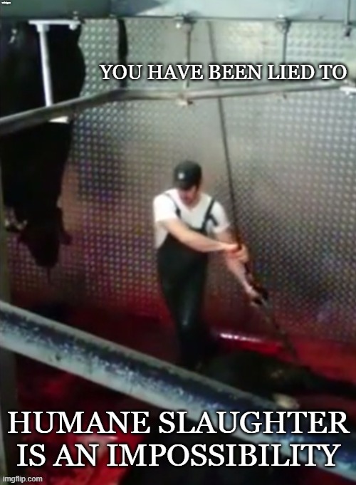 Humane Slaughter is a Lie | minkpen | image tagged in vegan,slaughter,farming,steak,dairy,hamburger | made w/ Imgflip meme maker