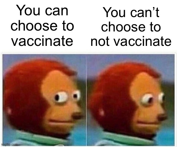 Don’t forget freedom of choice is a human right | You can’t choose to not vaccinate; You can choose to vaccinate | image tagged in memes,monkey puppet | made w/ Imgflip meme maker