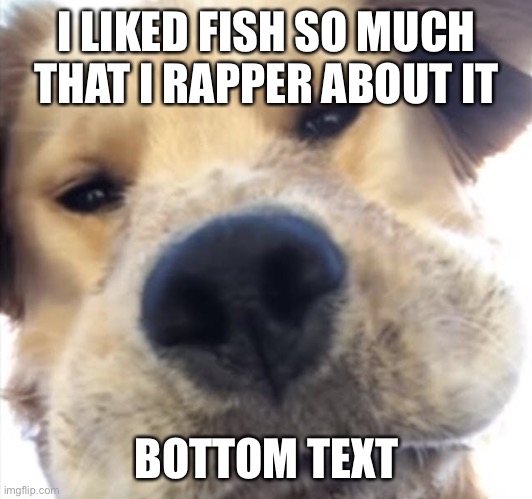 h | I LIKED FISH SO MUCH THAT I RAPPER ABOUT IT; BOTTOM TEXT | image tagged in doggo bruh | made w/ Imgflip meme maker