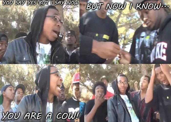 :3 | YOU SAY YES BUT I SAY NOW; BUT NOW I KNOW... YOU ARE A COW! | image tagged in sike that's the wrong number | made w/ Imgflip meme maker