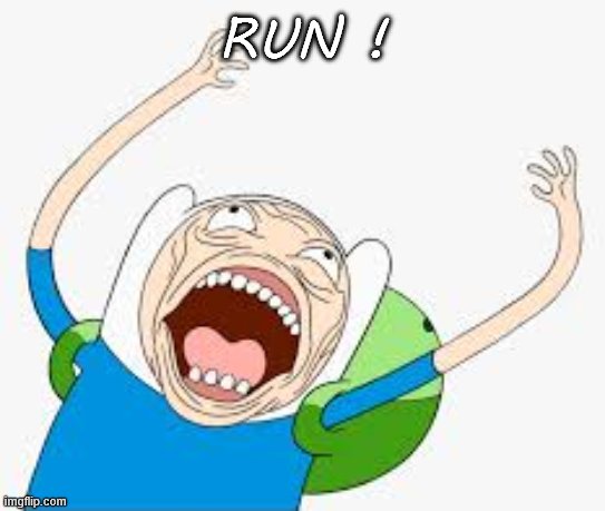 Finn yells | RUN ! | image tagged in finn yells | made w/ Imgflip meme maker