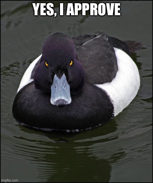 Angry duck | YES, I APPROVE | image tagged in angry duck | made w/ Imgflip meme maker