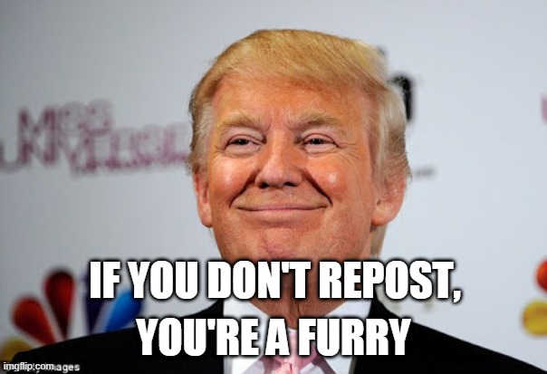 Donald trump approves | IF YOU DON'T REPOST, YOU'RE A FURRY | image tagged in donald trump approves | made w/ Imgflip meme maker