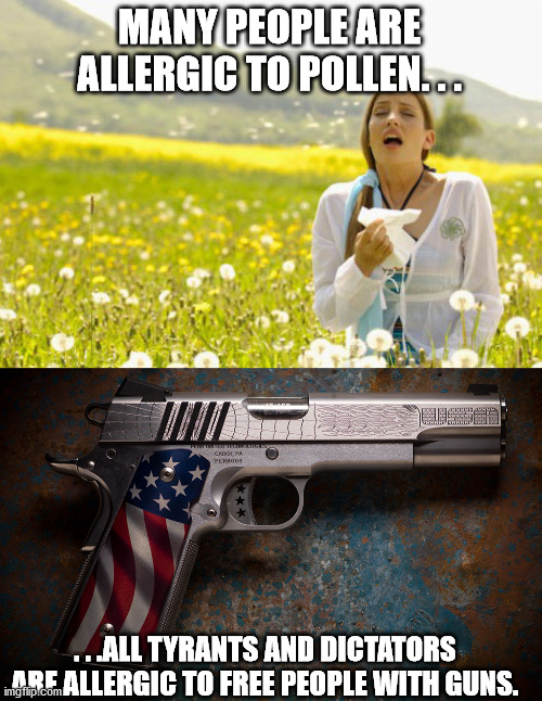 Autumn/Fall Allergy Season. | MANY PEOPLE ARE ALLERGIC TO POLLEN. . . . . .ALL TYRANTS AND DICTATORS ARE ALLERGIC TO FREE PEOPLE WITH GUNS. | image tagged in allergy,guns,freedom,tyranny | made w/ Imgflip meme maker