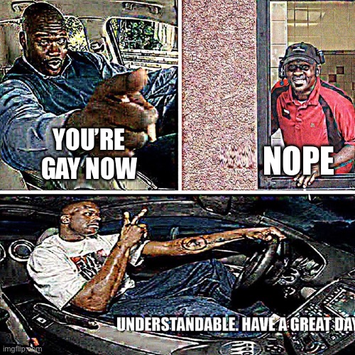 Understandable, have a great day | NOPE; YOU’RE GAY NOW | image tagged in understandable have a great day | made w/ Imgflip meme maker