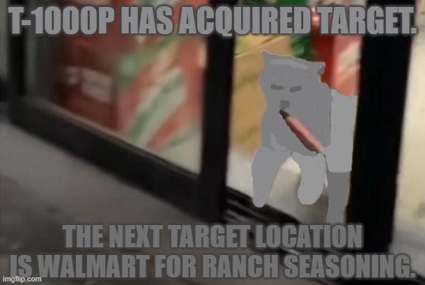 Unlikely shoplifter. | T-1000P HAS ACQUIRED TARGET. THE NEXT TARGET LOCATION IS WALMART FOR RANCH SEASONING. | image tagged in feline shoplifter,a small ai glitch,cats | made w/ Imgflip meme maker