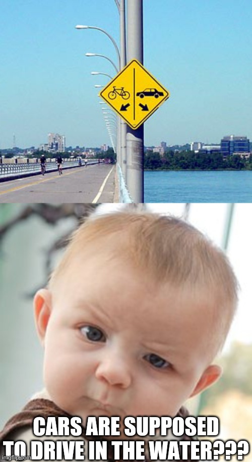 Somebody is gonna get fired for this |  CARS ARE SUPPOSED TO DRIVE IN THE WATER??? | image tagged in memes,skeptical baby,funny,stupid signs,you had one job just the one,cars | made w/ Imgflip meme maker