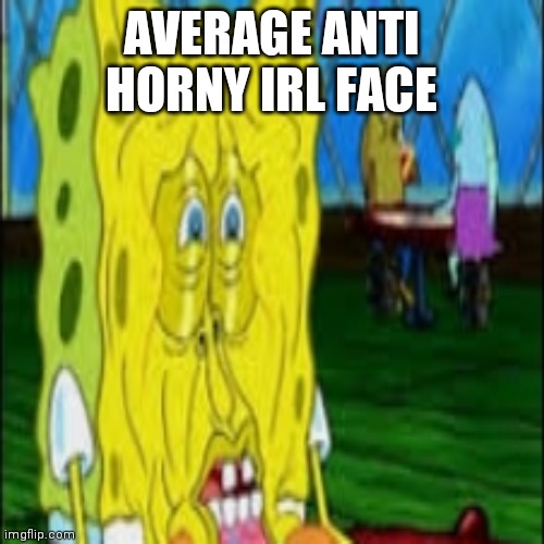Image Title | AVERAGE ANTI HORNY IRL FACE | image tagged in image tags | made w/ Imgflip meme maker