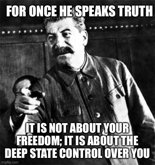 Stalin | FOR ONCE HE SPEAKS TRUTH IT IS NOT ABOUT YOUR FREEDOM; IT IS ABOUT THE DEEP STATE CONTROL OVER YOU | image tagged in stalin | made w/ Imgflip meme maker