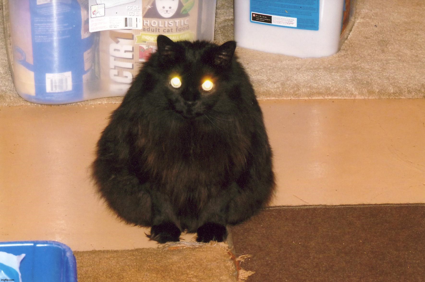 o h l a w d h e c o m i n g | made w/ Imgflip meme maker