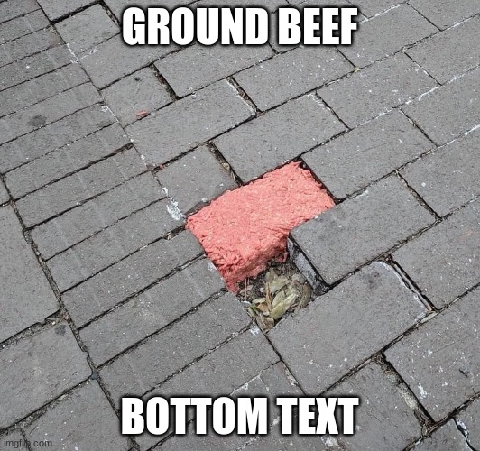 GROUND BEEF; BOTTOM TEXT | made w/ Imgflip meme maker
