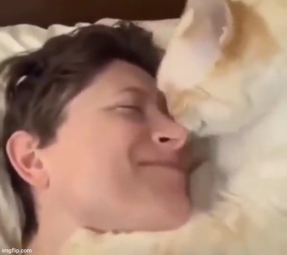 Cat had come to give you nuzzles do you accept? | made w/ Imgflip meme maker