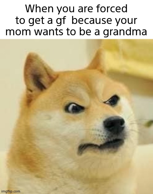 WHY MUST YOU HURT ME LIKE THIS? | When you are forced to get a gf  because your mom wants to be a grandma | image tagged in sad but true | made w/ Imgflip meme maker