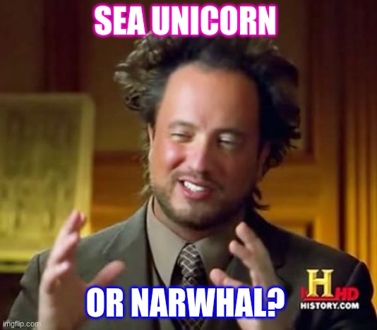 think about it | SEA UNICORN; OR NARWHAL? | image tagged in memes,ancient aliens | made w/ Imgflip meme maker