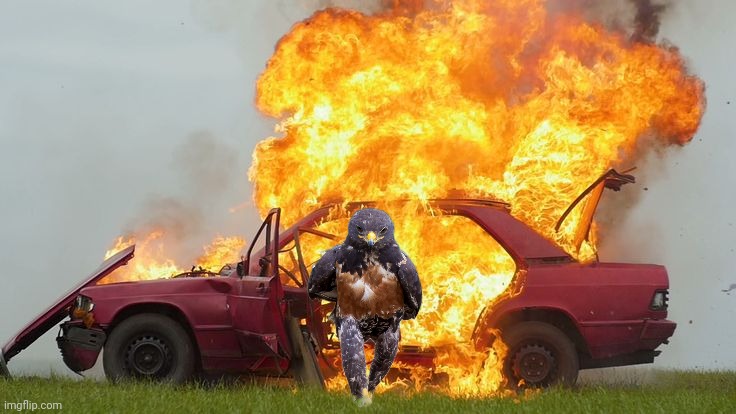 When birds go bad | image tagged in birds,animals,funny animals,revenge,photoshop | made w/ Imgflip meme maker