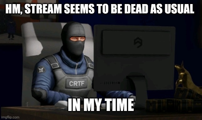 counter-terrorist looking at the computer | HM, STREAM SEEMS TO BE DEAD AS USUAL; IN MY TIME | image tagged in computer | made w/ Imgflip meme maker