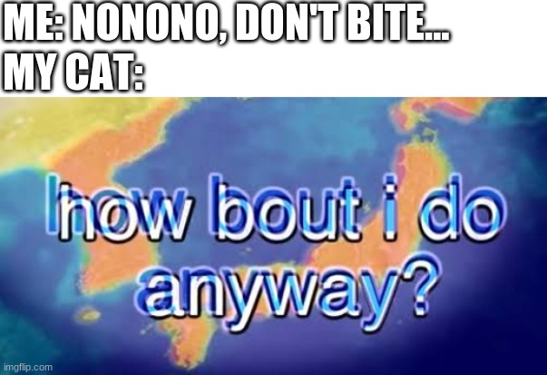 How bout i do anyway | ME: NONONO, DON'T BITE... MY CAT: | image tagged in how bout i do anyway | made w/ Imgflip meme maker