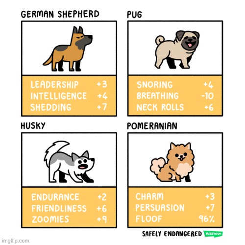 dog stats | made w/ Imgflip meme maker