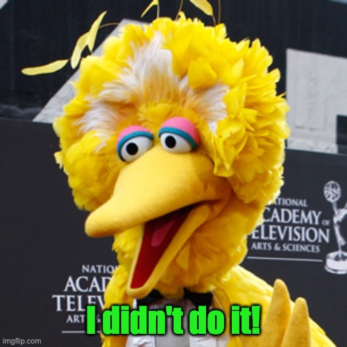 Big Bird Meme | I didn't do it! | image tagged in memes,big bird | made w/ Imgflip meme maker