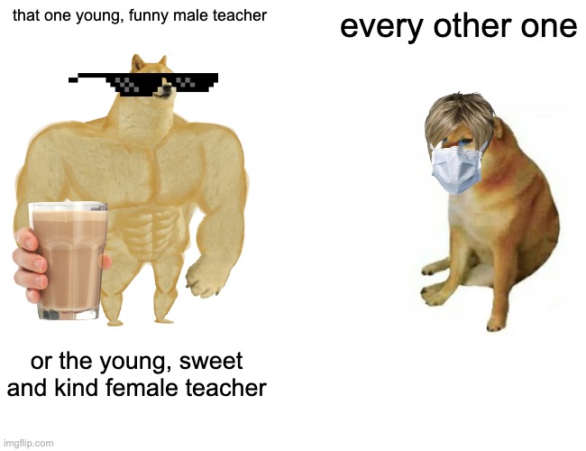 teacher trouble? show them this.. | that one young, funny male teacher; every other one; or the young, sweet and kind female teacher | image tagged in memes,buff doge vs cheems | made w/ Imgflip meme maker