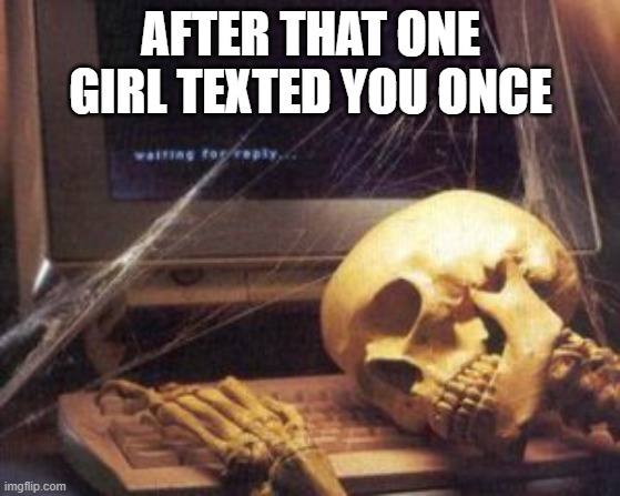 skeleton computer | AFTER THAT ONE GIRL TEXTED YOU ONCE | image tagged in skeleton computer | made w/ Imgflip meme maker
