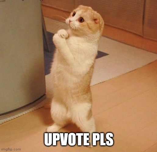 Begging Cat | UPVOTE PLS | image tagged in begging cat | made w/ Imgflip meme maker