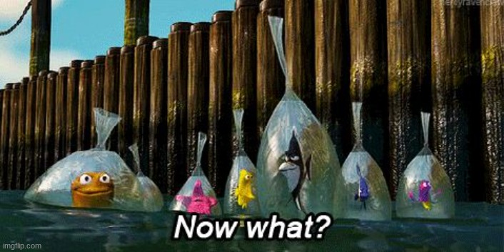 stream dead | image tagged in now what | made w/ Imgflip meme maker