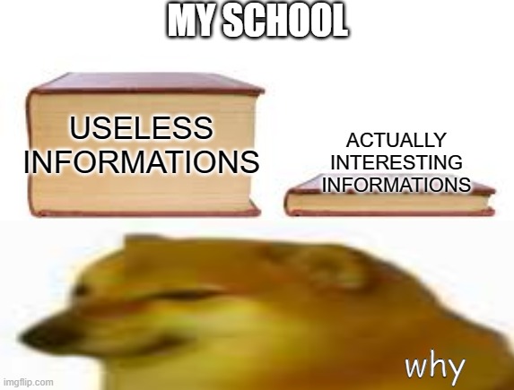 My school be like: |  MY SCHOOL; ACTUALLY INTERESTING INFORMATIONS; USELESS INFORMATIONS; why | image tagged in big book small book,school,sad doge,school sucks | made w/ Imgflip meme maker