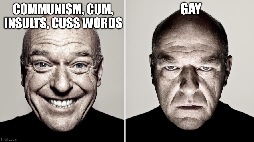 Dean Norris's reaction | COMMUNISM, CUM, INSULTS, CUSS WORDS GAY | image tagged in dean norris's reaction | made w/ Imgflip meme maker