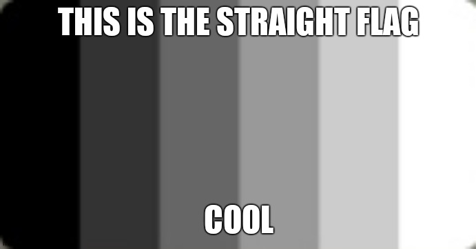 Straight flag | THIS IS THE STRAIGHT FLAG; COOL | image tagged in straight flag | made w/ Imgflip meme maker