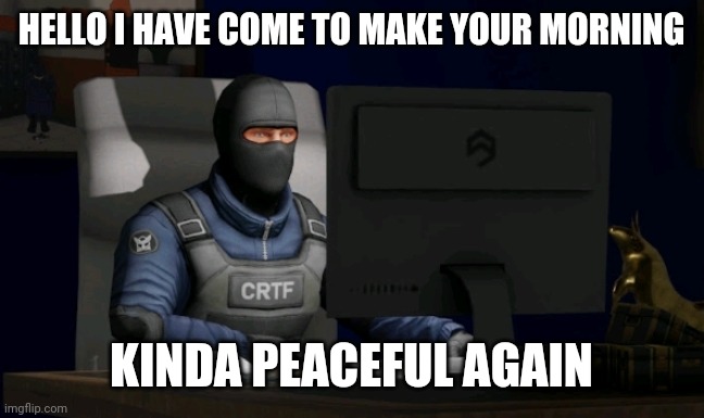 counter-terrorist looking at the computer | HELLO I HAVE COME TO MAKE YOUR MORNING; KINDA PEACEFUL AGAIN | image tagged in computer | made w/ Imgflip meme maker
