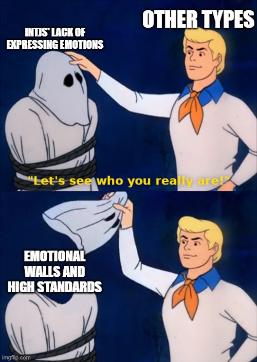 lets see who you really are | OTHER TYPES; INTJS' LACK OF EXPRESSING EMOTIONS; EMOTIONAL WALLS AND HIGH STANDARDS | image tagged in lets see who you really are | made w/ Imgflip meme maker