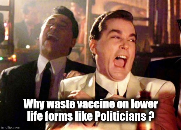 Goodfellas Laugh | Why waste vaccine on lower life forms like Politicians ? | image tagged in goodfellas laugh | made w/ Imgflip meme maker