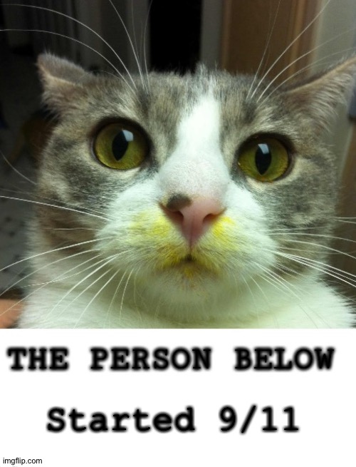 The Person Below Cat | Started 9/11 | image tagged in the person below cat | made w/ Imgflip meme maker