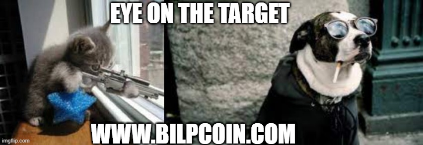 EYE ON THE TARGET; WWW.BILPCOIN.COM | made w/ Imgflip meme maker