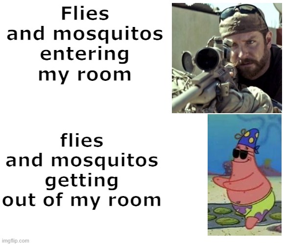 So relatable lol | Flies and mosquitos entering my room; flies and mosquitos getting out of my room | image tagged in blank meme template | made w/ Imgflip meme maker