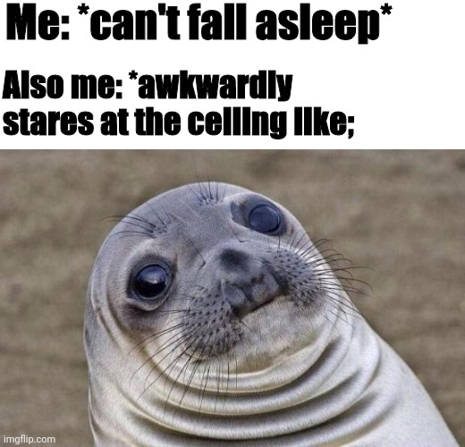 When you can't sleep | Me: *can't fall asleep*; Also me: *awkwardly stares at the celling like; | image tagged in memes,awkward moment sealion | made w/ Imgflip meme maker