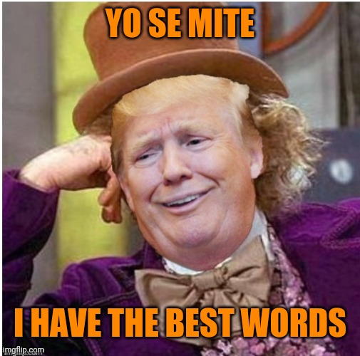 Wonka Trump | YO SE MITE; I HAVE THE BEST WORDS | image tagged in wonka trump | made w/ Imgflip meme maker